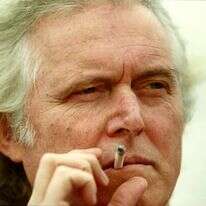 המשורר והמתרגם עטור הפרסים הישראלי מאיר ויזלטיר. | משה שי, פלאש 90