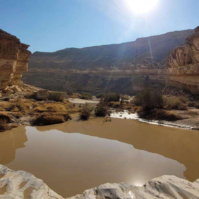 עין ירקעם לאחר שהתמלא במי שיטפונות. | ג׳מיל אטרש - רשות הטבע והגנים