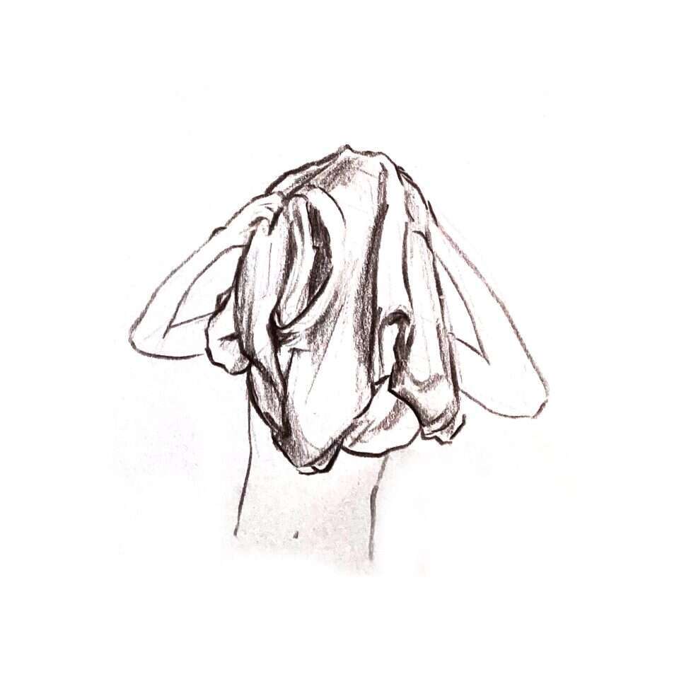 איור: עוזיאל רנחל