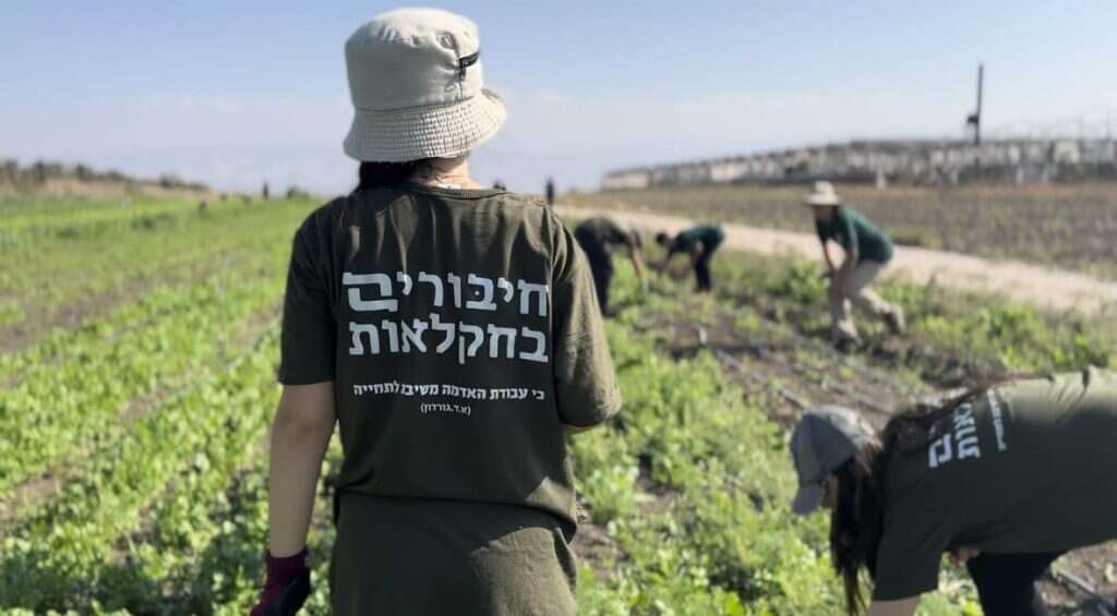 חנוכה בטבע. | אודליה שטרית כהן.