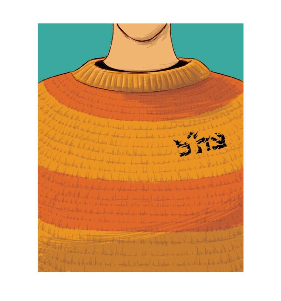 איור: מורן ברק איור: מורן ברק