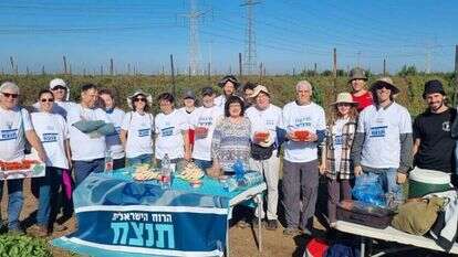 פעילי הרבעון הרביעי בקטיף במסגרת מבצע סיוע לחקלאים. | תנועת הרבעון הרביעי