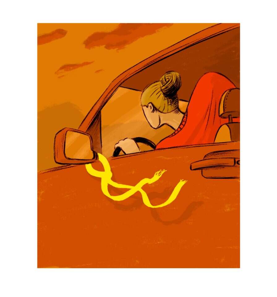 איור: מורן ברק איור: מורן ברק