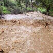 שמורת נחל דישון, בשיטפון. | גיל בינון רשות הטבע והגנים