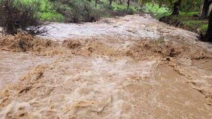 שמורת נחל דישון, בשיטפון. | גיל בינון רשות הטבע והגנים שמורת נחל דישון, בשיטפון. | גיל בינון רשות הטבע והגנים