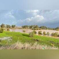 שמורת הטבע עין אפק, | פאדי דעבוס רשות הטבע והגנים