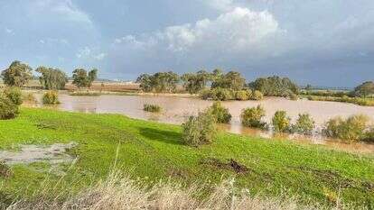 שמורת הטבע עין אפק, | פאדי דעבוס רשות הטבע והגנים