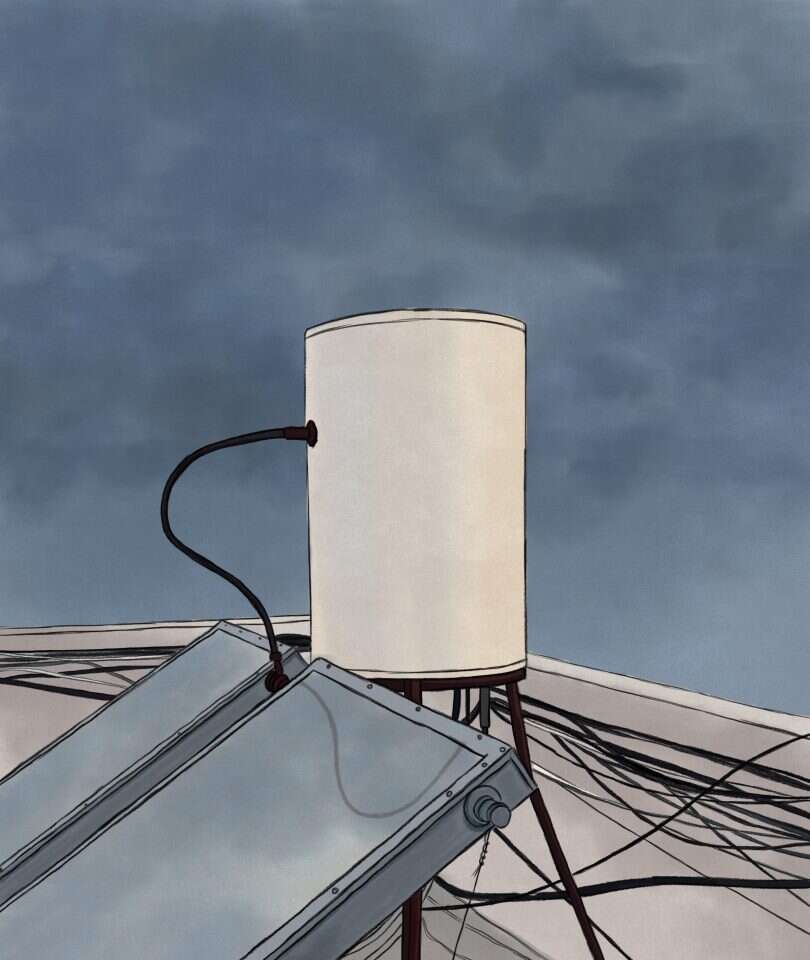 איור: שרון ארדיטי