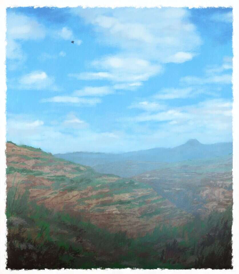 איור: מנחם הלברשטט