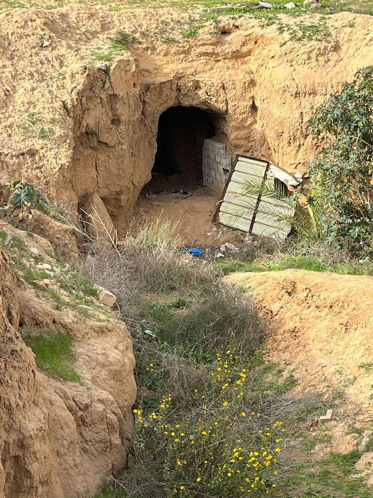 פירים שנחשפו על ידי לוחמי הגדס"ר הבדואי. | דובר צה"ל