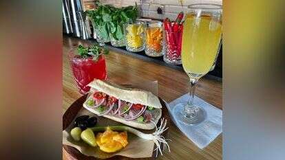 מתוך עמוד האינסטגרם