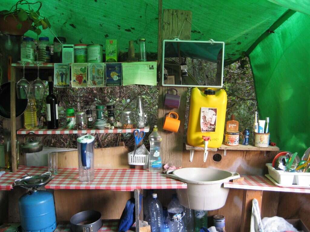 הבית שבו התגורר כהנוביץ' ביערות הכרמל הבית שבו התגורר כהנוביץ' ביערות הכרמל