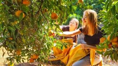 תלמידות אורט יובלי אריאל בהתנדבות חקלאית. | אנה, יח"צ אורט