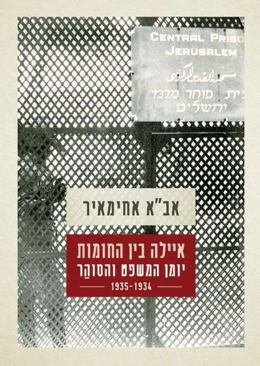 איילה בין החומות. אב"א אחימאיר