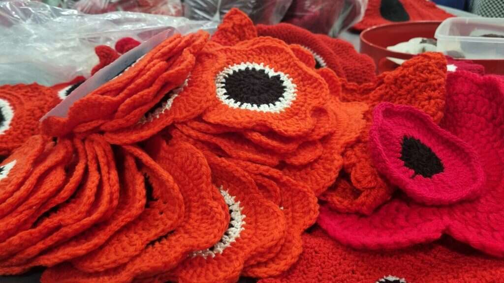 כלניות סרוגות שעומדות לעלות במיצב "כלניות תמיד תפרחנה" בגלריית מגדל המים במרכז ההנצחה בטבעון. | באדיבות שרה אבנין גנישר כלניות סרוגות שעומדות לעלות במיצב "כלניות תמיד תפרחנה" בגלריית מגדל המים במרכז ההנצחה בטבעון. | באדיבות שרה אבנין גנישר