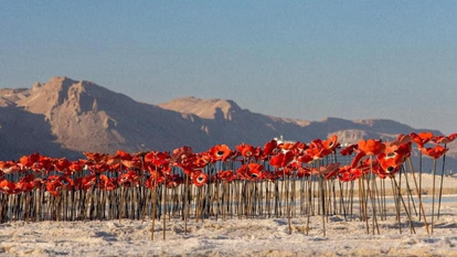 כלניות מקרמיקה מוצבות בים המלח - חלק מפרויקט "כלניות לפני הגשם" שיזמה הקרמיקאית יפה סולומון. | שי כרמי כלניות מקרמיקה מוצבות בים המלח - חלק מפרויקט "כלניות לפני הגשם" שיזמה הקרמיקאית יפה סולומון. | שי כרמי