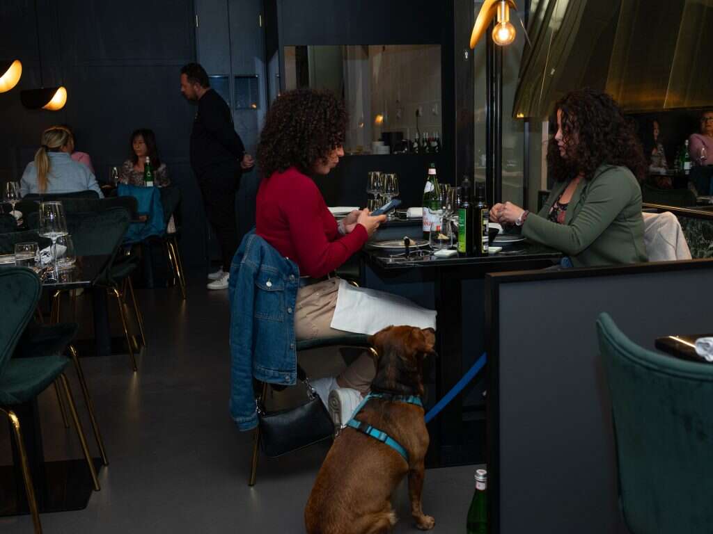 מסעדת "פיאוטו" ברומא, איטליה. | Federica Valabrega, The Washington Post