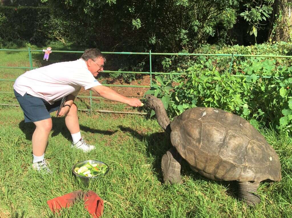 מושל סנט הלנה לשעבר מאכיל את ג'ונתן בשנת 2016. | ג'ו הולינס