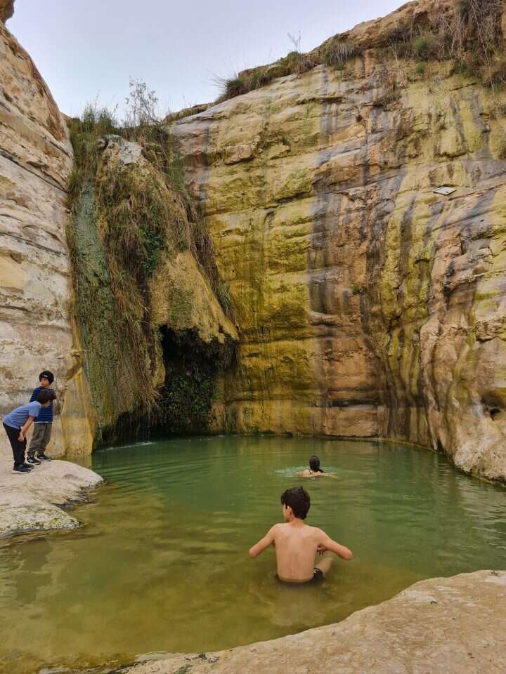 עין עקב. | צק אין אאוט