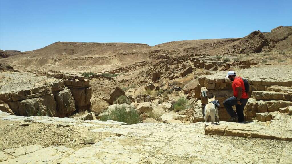 עין סהרונים. | צק אין אאוט