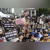 הפגנה נגד תעשיית בשר הכלבים בדרום קוריאה. | AP