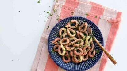 ספיזולוס. | אפרת ליכטנשטט