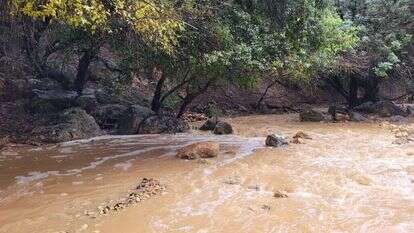 נחל דישון בזרימה חזקה. | גיל בינון, רשות הטבע והגנים