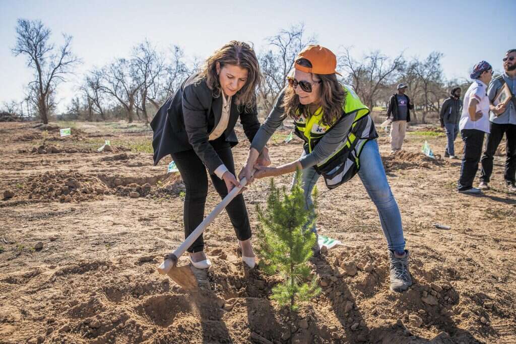 נורית כהן ויפעת עובדיה־לוסקי נוטעות עץ בצד הדרך. | אלכס קולומויסקי נורית כהן ויפעת עובדיה־לוסקי נוטעות עץ בצד הדרך. | אלכס קולומויסקי