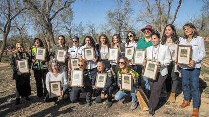 אלכס קולומויסקי אלכס קולומויסקי