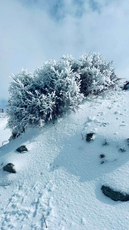 שלג במפלס העליון של אתר החרמון. | אתר החרמון