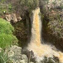 מפל עיט בדרום רמת הגולן בשיא הזרימה. | מזי מוסקוביץ', רשות הטבע והגנים