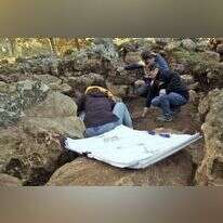 החפירה בהרי יהודה בה נחשף המטבע הנדיר. | אמיל אלדג'ם רשות העתיקות