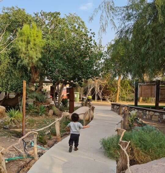 פארק הצפרות באילת. | צ'ק אין אאוט