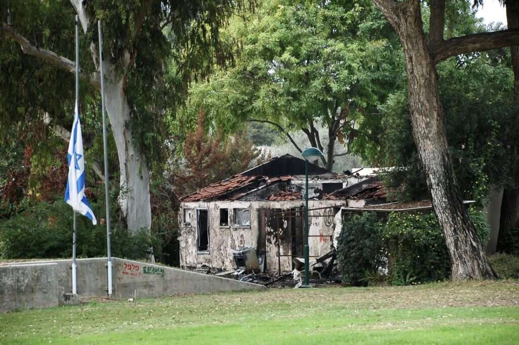 העצים של קיבוץ בארי מלבלבים מחדש בחצר שלנו