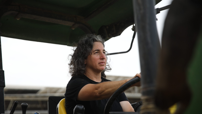 טלי מדינה. | אוריאל סיני