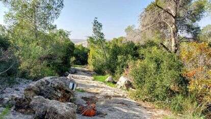 סימון השביל. | איציק בן דב, החברה להגנת הטבע