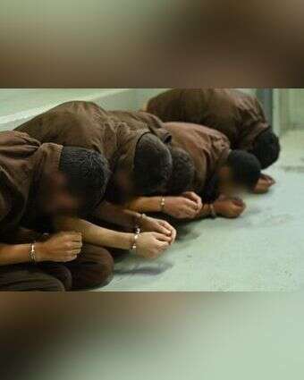 מחבלי נוח'בה | דוברות שב"ס