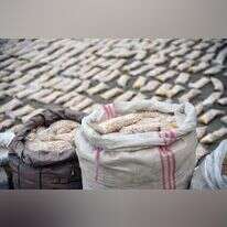 כדורי קפטגון שנלכדו בסוריה, ינואר 24'. | איי.פי