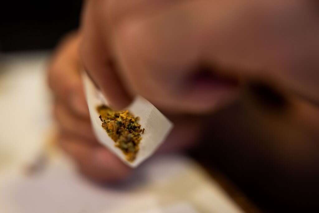 מריחואנה. | נתי שוחט פלאש 90