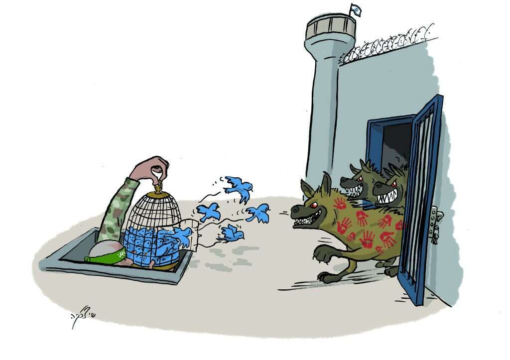 איור: שי צ'רקה