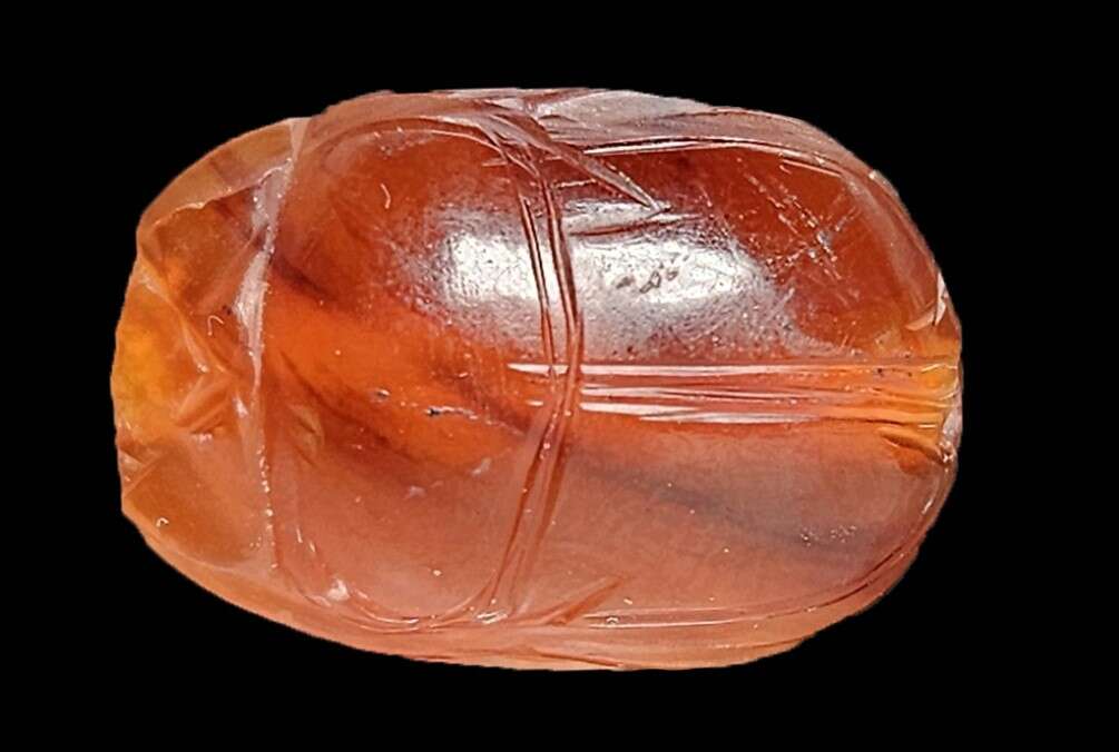 החרפושית. | אנסטסיה שפירו רשות העתיקות החרפושית. | אנסטסיה שפירו רשות העתיקות