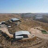 חוות מיתרים של ינון לוי ומשפחתו. | באדיבות חוות מיתרים