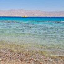 אילת. | צק אין אאוט