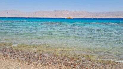 אילת. | צק אין אאוט