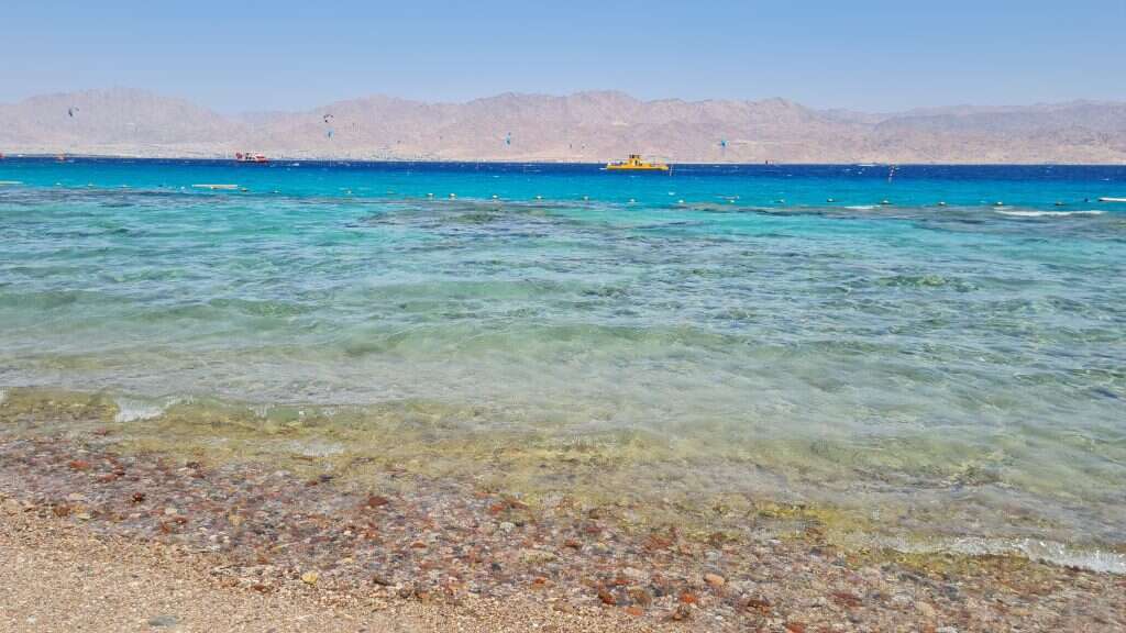 אילת. | צק אין אאוט