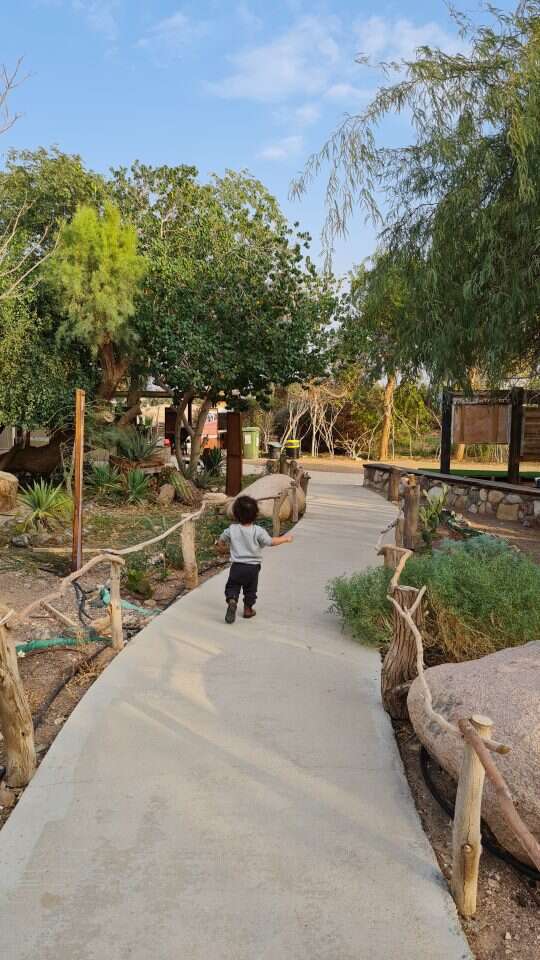 פארק הצפרות אילת | צק אין אאוט