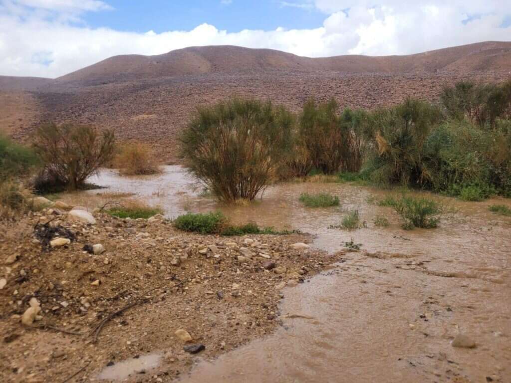 שיטפון בנחל צין, חורף תשפ"ד (2024). | עוואד שילבי רשות הטבע והגנים