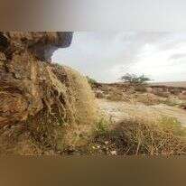 שיטפון בנחל צין, חורף תשפ"ד (2024). | עוואד שילבי רשות הטבע והגנים