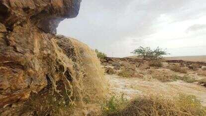 שיטפון בנחל צין, חורף תשפ"ד (2024). | עוואד שילבי רשות הטבע והגנים