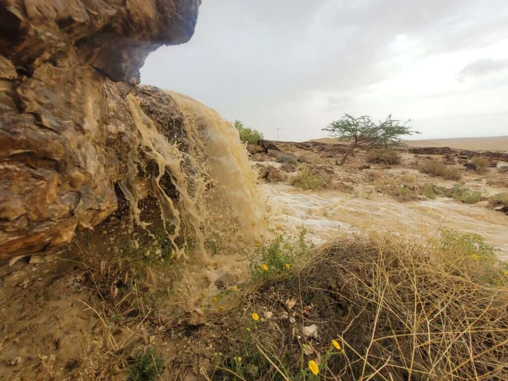 שיטפון בנחל צין, חורף תשפ"ד (2024). | עוואד שילבי רשות הטבע והגנים